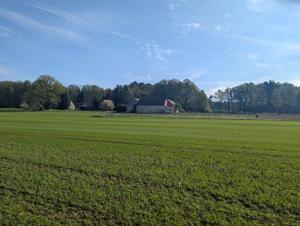 Hof aus Westen weit weg